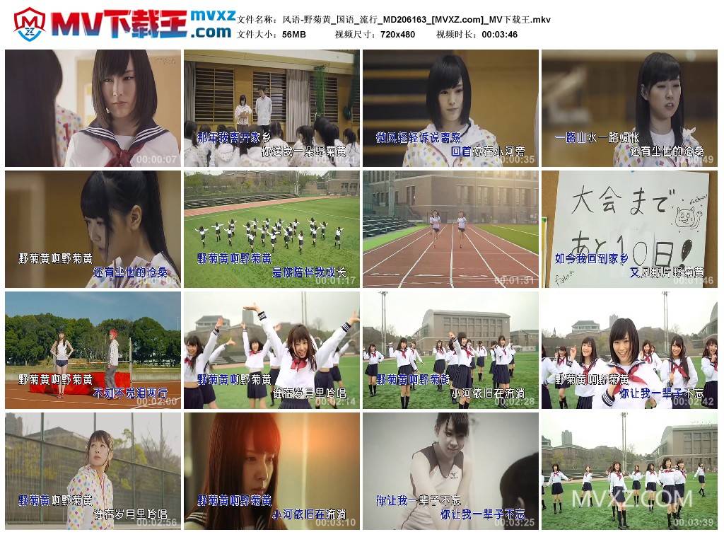 风语-野菊黄_国语_流行_MD206163